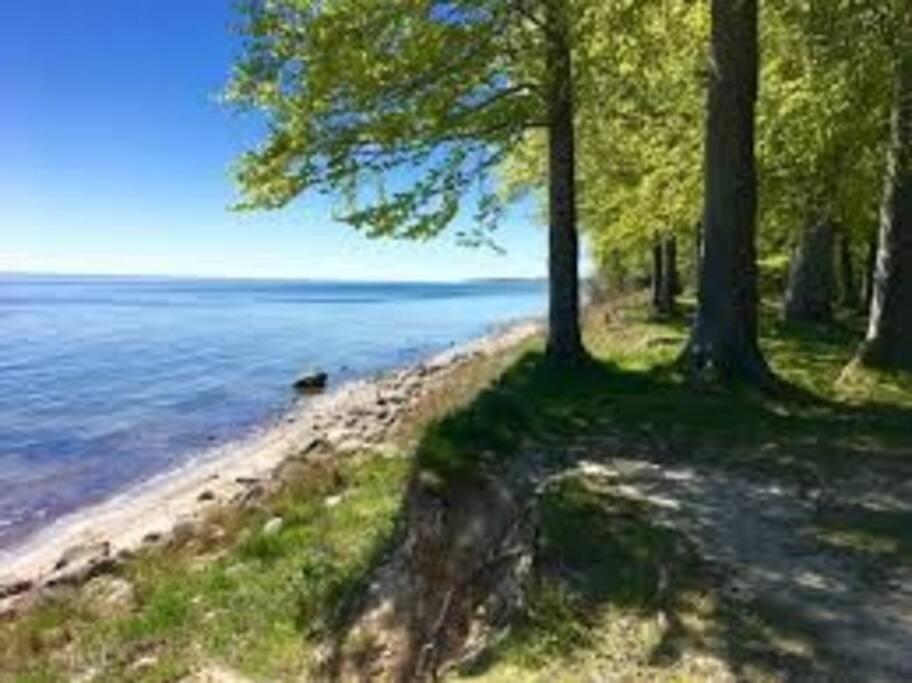 Aarhus 115 Διαμέρισμα Εξωτερικό φωτογραφία